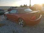 2000 Ford Mustang GT