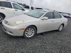 2004 Lexus ES 330