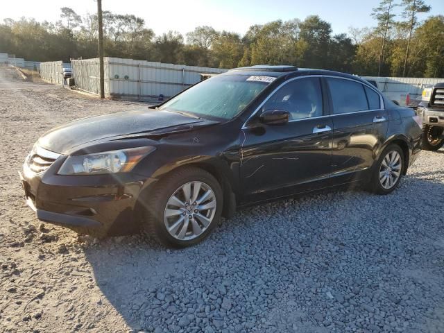 2011 Honda Accord EXL