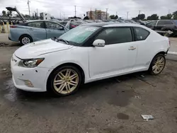 Scion salvage cars for sale: 2013 Scion 2013 Toyota Scion TC