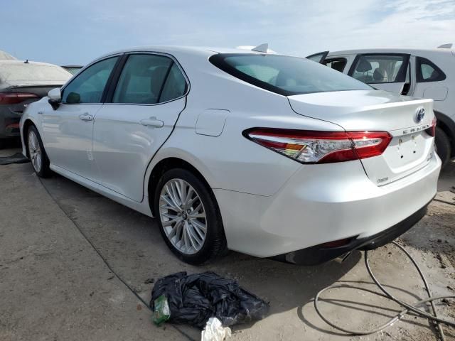 2019 Toyota Camry Hybrid