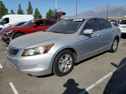 2009 Honda Accord LXP en venta en Rancho Cucamonga, CA