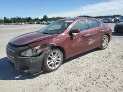 Nissan salvage cars for sale: 2011 Nissan Maxima S