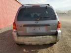 2007 Ford Escape XLT