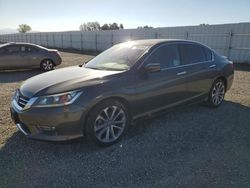 Salvage cars for sale at Anderson, CA auction: 2013 Honda Accord Sport