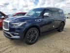 2023 Infiniti QX80 Sensory