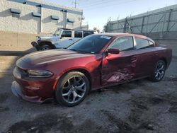 2019 Dodge Charger SXT en venta en Albuquerque, NM