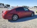 2008 Nissan Maxima SE