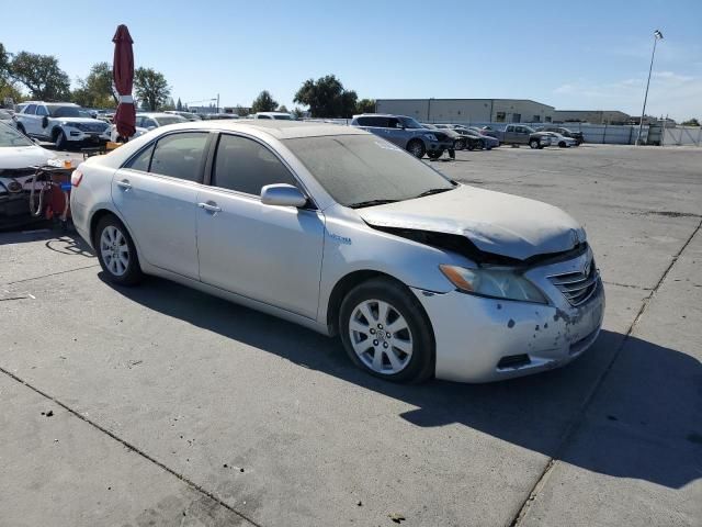 2009 Toyota Camry Hybrid