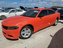 Dodge Charger salvage cars for sale: 2023 Dodge Charger SXT