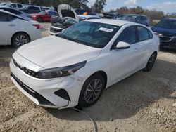 Salvage cars for sale at Arcadia, FL auction: 2023 KIA Forte LX