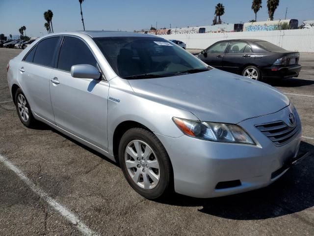 2009 Toyota Camry Hybrid