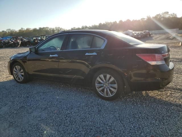 2011 Honda Accord EXL