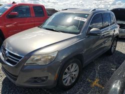 Salvage cars for sale at Riverview, FL auction: 2009 Volkswagen Tiguan S