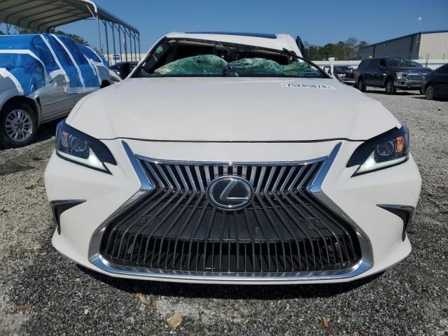 2019 Lexus ES 350