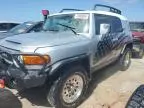 2007 Toyota FJ Cruiser