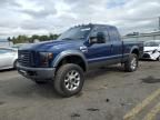 2008 Ford F250 Super Duty