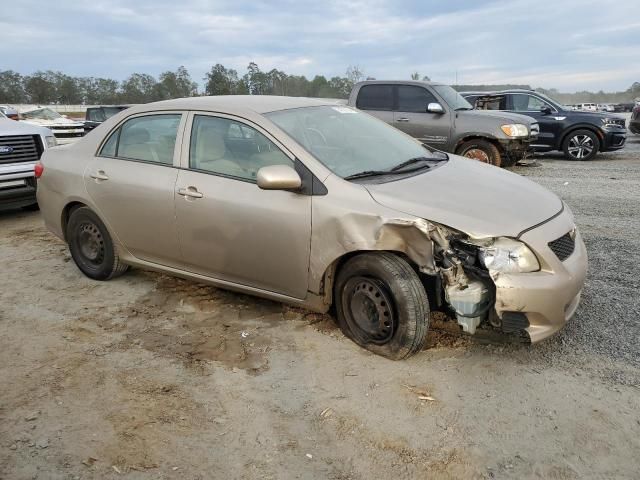 2009 Toyota Corolla Base