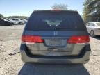 2008 Honda Odyssey EXL