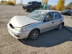 Toyota salvage cars for sale: 2002 Toyota Corolla CE