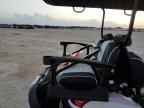 2019 Aspt Golf Cart