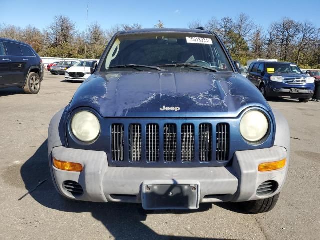 2002 Jeep Liberty Sport