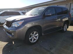 Salvage cars for sale at Louisville, KY auction: 2011 Lexus GX 460