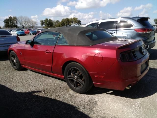 2014 Ford Mustang