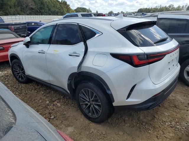 2022 Lexus NX 350