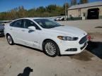 2015 Ford Fusion SE Hybrid