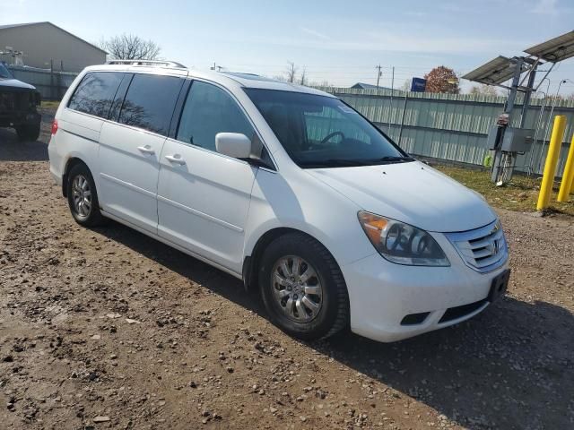 2010 Honda Odyssey EXL