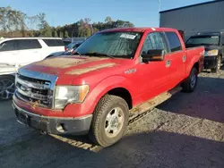 2014 Ford F150 Supercrew en venta en Spartanburg, SC