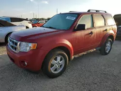 2011 Ford Escape XLT en venta en Arcadia, FL