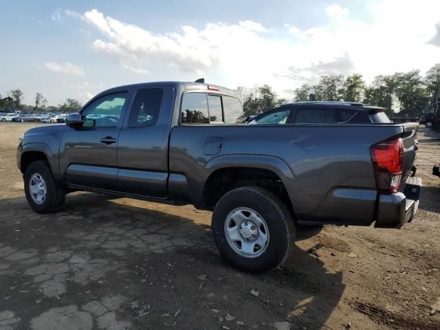 2023 Toyota Tacoma Access Cab