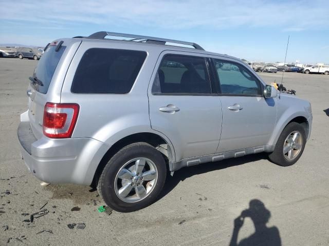 2010 Ford Escape Limited