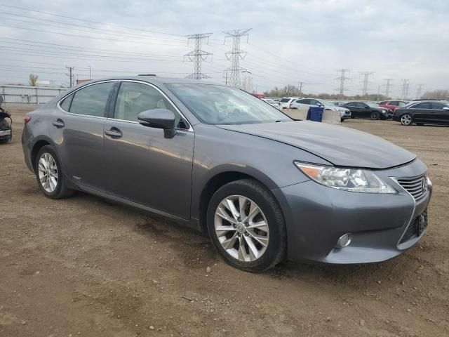 2013 Lexus ES 300H