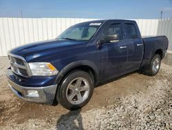 Dodge salvage cars for sale: 2012 Dodge RAM 1500 SLT