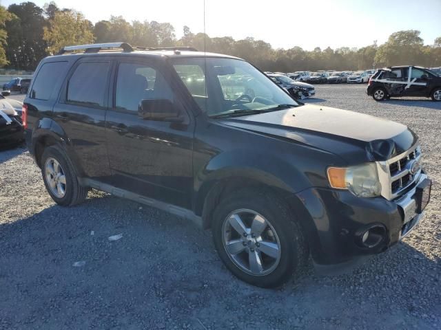 2010 Ford Escape Limited