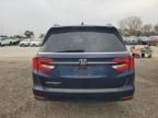 2024 Honda Odyssey EX