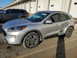 Salvage cars for sale at Louisville, KY auction: 2020 Ford Escape SEL