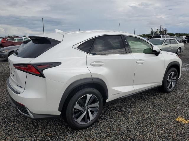 2021 Lexus NX 300H Base