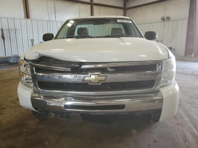 2010 Chevrolet Silverado C1500