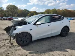 Tesla salvage cars for sale: 2024 Tesla Model Y