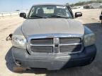 2005 Dodge Dakota SLT