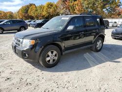 Salvage trucks for sale at North Billerica, MA auction: 2010 Ford Escape XLT