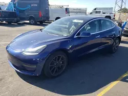 Salvage cars for sale at Hayward, CA auction: 2019 Tesla Model 3