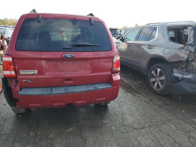 2011 Ford Escape XLT