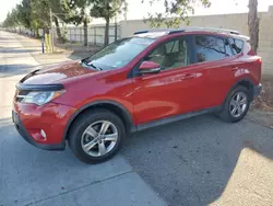 Toyota rav4 xle Vehiculos salvage en venta: 2015 Toyota Rav4 XLE