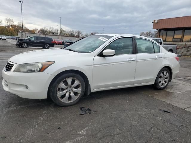 2010 Honda Accord EXL