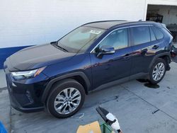 Toyota rav4 xle Premium salvage cars for sale: 2024 Toyota Rav4 XLE Premium